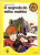 Capa do livro O Segredo do Velho Moinho