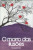 Capa do livro O morro das ilusões de Zibia Gasparetto.