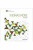 Capa do livro A utopia