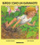 Capa do livro Rápido como um gafanhoto