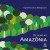 Capa do livro De olho na Amazônia