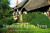 Capa do livro Stratford upon Avon
