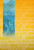 Capa do livro Auditoria operacional no serviço de limpeza urbana do Distrito Federal