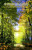 Capa do livro O Jardim da Emuná