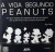 Capa do livro A vida segundo Peanuts