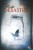 Capa do livro Belo desastre