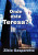 Capa do livro Onde está Teresa? de Zibia Gasparetto.