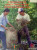 Capa do livro PROGRAMAS DE ABASTECIMENTO DE SEMILLAS FLORESTALES