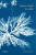Capa do livro As Ondas