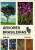 Capa do livro Árvores brasileiras volume 1