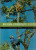 Capa do livro Natureza, Conservação e Cultura