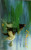 Capa do livro Brasil Cores e Sentimentos