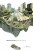 Capa do livro Machu Picchu