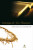 Capa do livro Cristologia do Novo Testamento