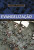 Capa do livro Evangelização