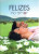 Capa do livro Felizes no Amor