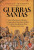 Capa do livro Guerras Santas