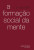 Capa do livro A formação social da mente
