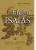 Capa do livro O efeito Isaías