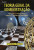 Capa do livro Teoria geral da administração