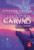 Capa do livro O espadachim de carvão e as pontes de puzur