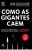 Capa do livro Como as gigantes caem