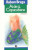 Capa do livro Ai de ti, Copacabana