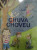 Capa do livro Chuva choveu