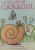 Capa do livro Diário de um caracol