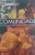 Capa do livro Comunidade de Zygmunt Bauman.