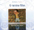 Capa do livro O menino Nito