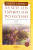 Capa do livro As sete leis espirituais do sucesso