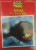 Capa do livro Jonas e o Grande Peixe