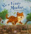 Capa do livro Se o Vento Mudar