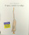 Capa do livro O pato, a morte e a tulipa
