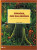 Capa do livro Sumaúma, mãe das árvores