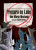 Capa do livro Procura-se lobo