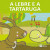 Capa do livro A Lebre e a Tartaruga