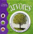 Capa do livro Árvores
