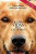 Capa do livro Quatro vidas de um cachorro