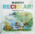 Capa do livro Madeira - Reciclar!