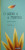Capa do livro O Sabiá e a Menina