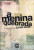 Capa do livro A menina quebrada
