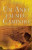 Capa do livro Raízes e Asas