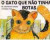 Capa do livro O gato que não tinha botas