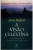 Capa do livro A Visão Celestina