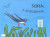 Capa do livro Sofia, A andorinha 2