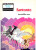 Capa do livro Faetonte