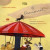 Capa do livro O carrossel