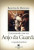 Capa do livro Conversando com seu anjo da guarda